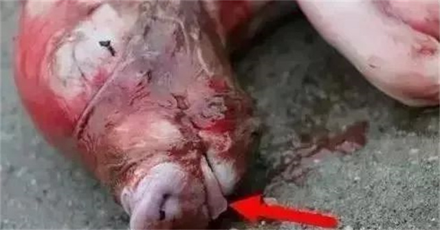 �ж�ĸ���Ƿ�����3������ĸ���ӹ���λ