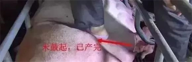 �ж�ĸ���Ƿ�����3������ĸ���ӹ���λ