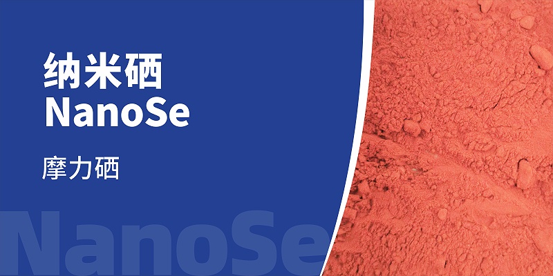 20240407bbin��ӯ01-1500x750mm