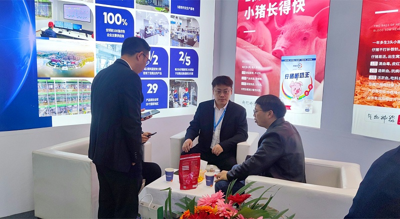 �������bbin��ӯ����չ̨