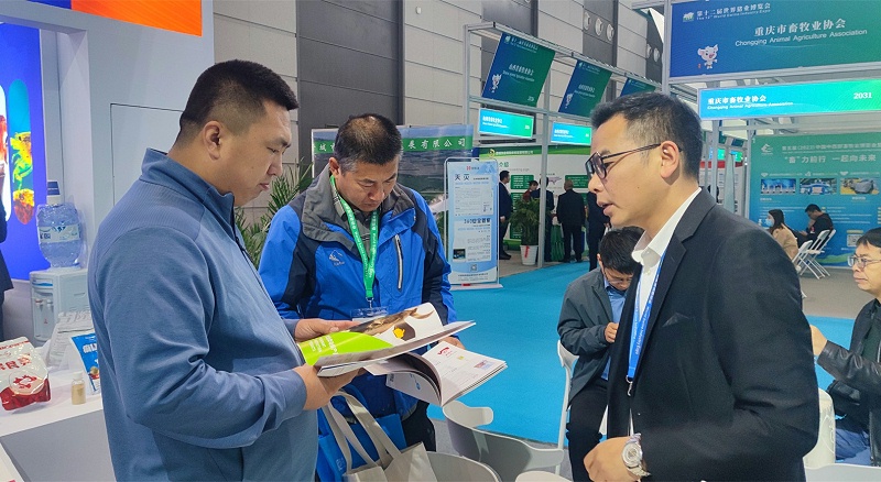 �������bbin��ӯ����չ̨