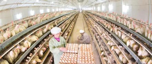 �������Ӽ�