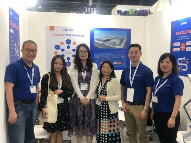 ���޹��ʼ�Լ������չ����