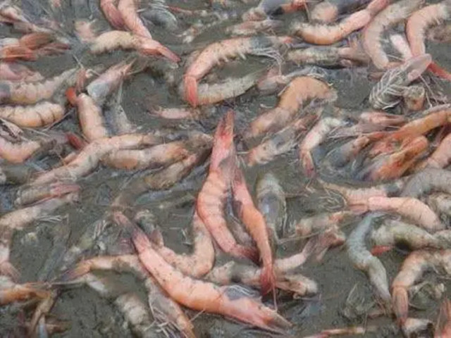 ��Ϻ͵����ô��