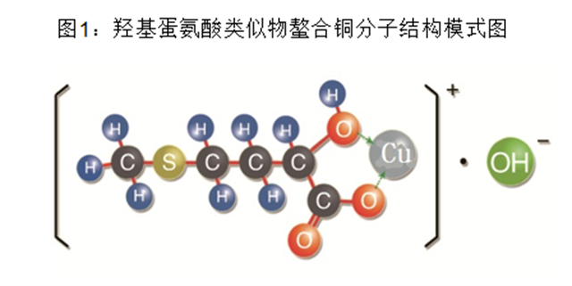 �������Ӽ�